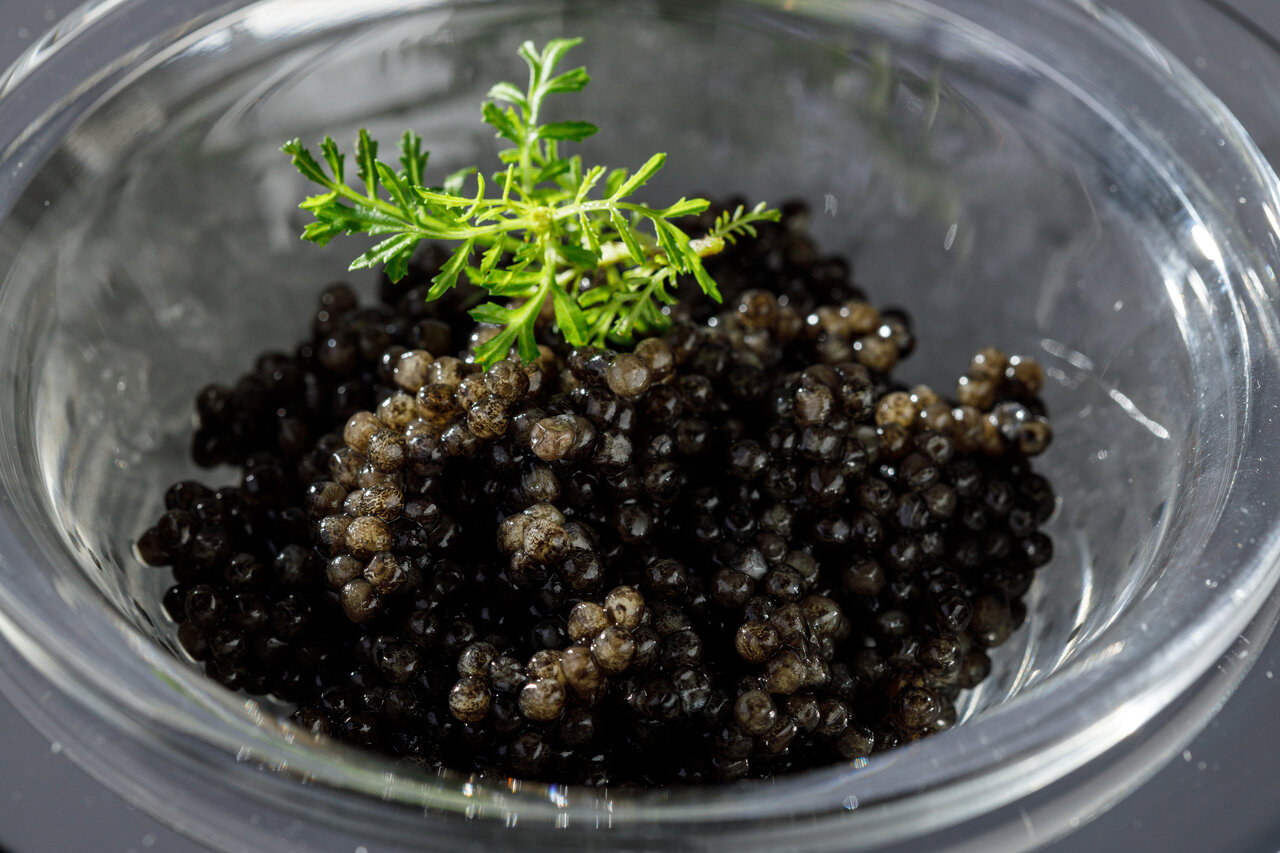 Гостиница Luciano Казань-242